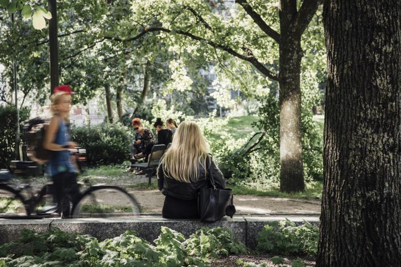 People spending time in a lush, green park.